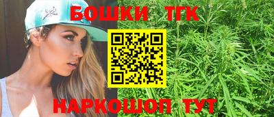 СК Дубна