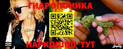 СК Дубна