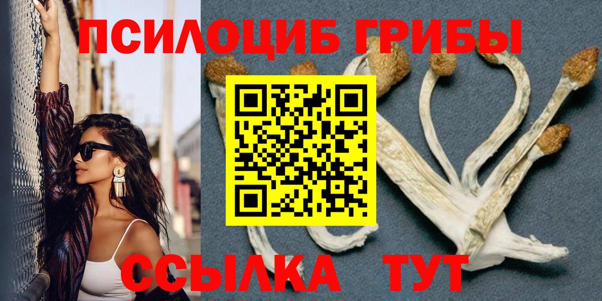 Галлюциногенные грибы прущие грибы  Клин 