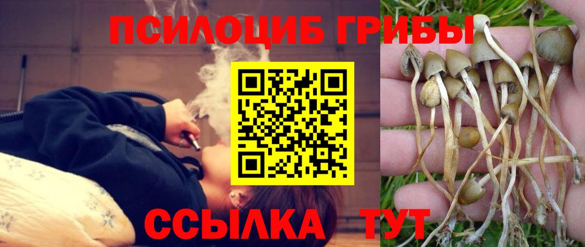 Клин  Галлюциногенные грибы прущие грибы  Вход с VPN 