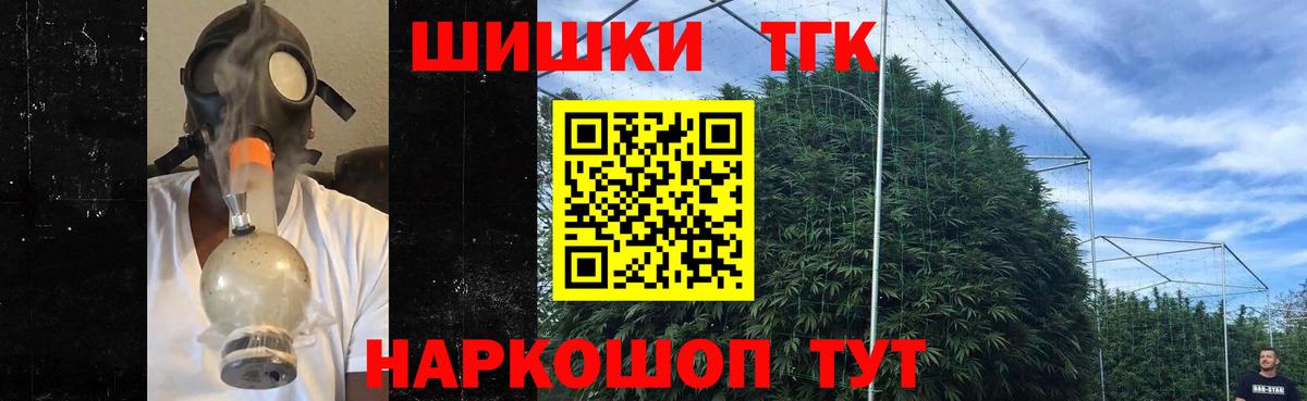 Конопля сатива Клин